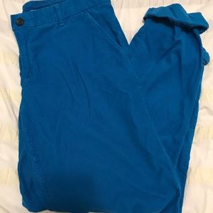 gap bright blue cords